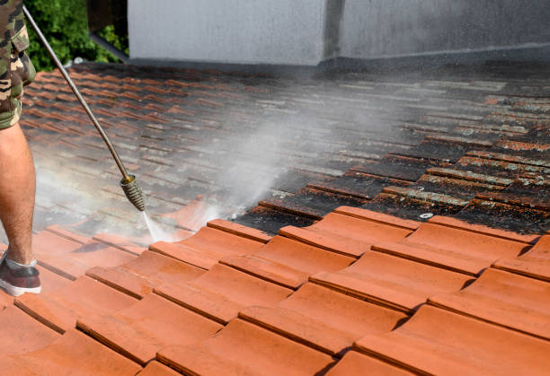 Professional Pressure Washing in Las Lomas, CA