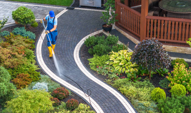 Best Pressure Washing Siding  in Las Lomas, CA